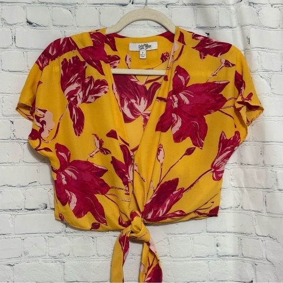 Color me Courtney cropped tie waist size 2 - Picture 3 of 8